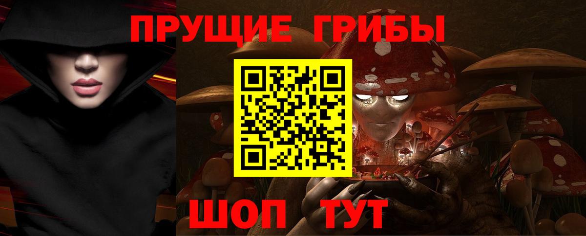 Псилоцибиновые грибы Magic Shrooms Ногинск